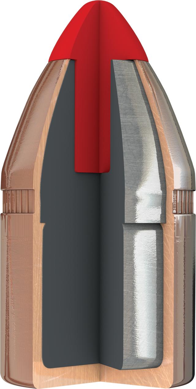 Puntas Pistol FTX (1)