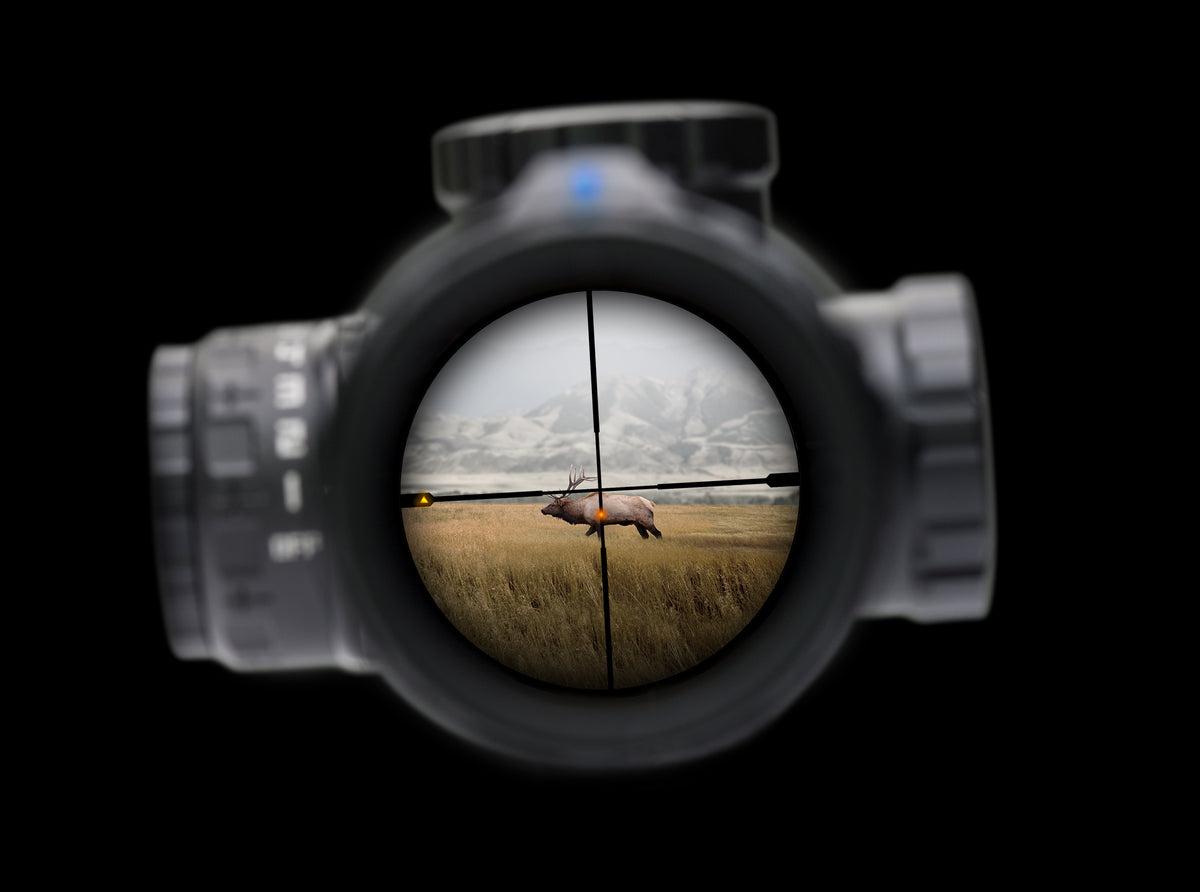 Sig Optics BDX Sierra6