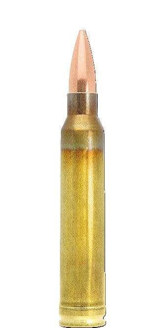 LAPUA-.300 Win Magnum-OTM-Scenar-185GR-M10200