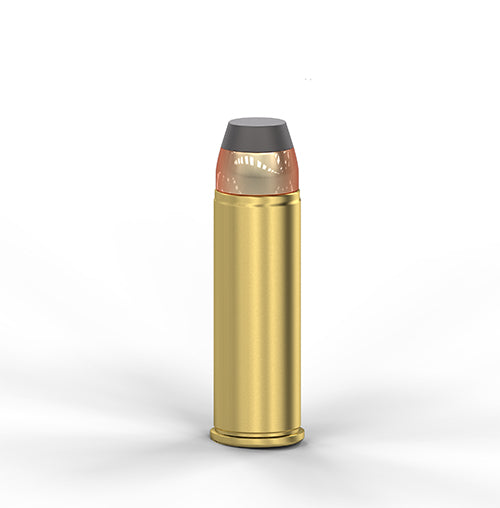 Training-454 Casull-260-SJSP Flat-50UDS
