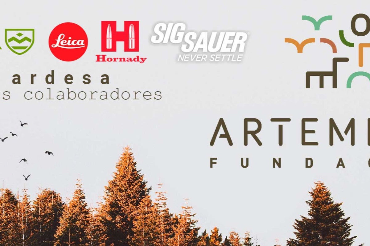 SOMOS PATROCINADORES. FUNDACIÓN ARTEMISAN
