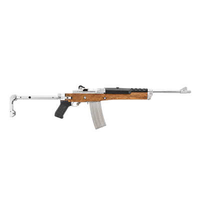 Ruger Mini 14 ASG