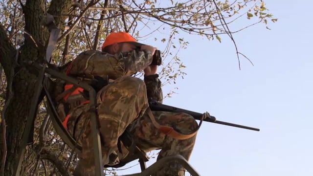 WhiteTail
